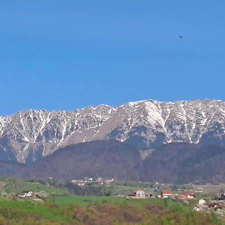 Conacul Elenei Villa Poiana Mărului Exterior foto