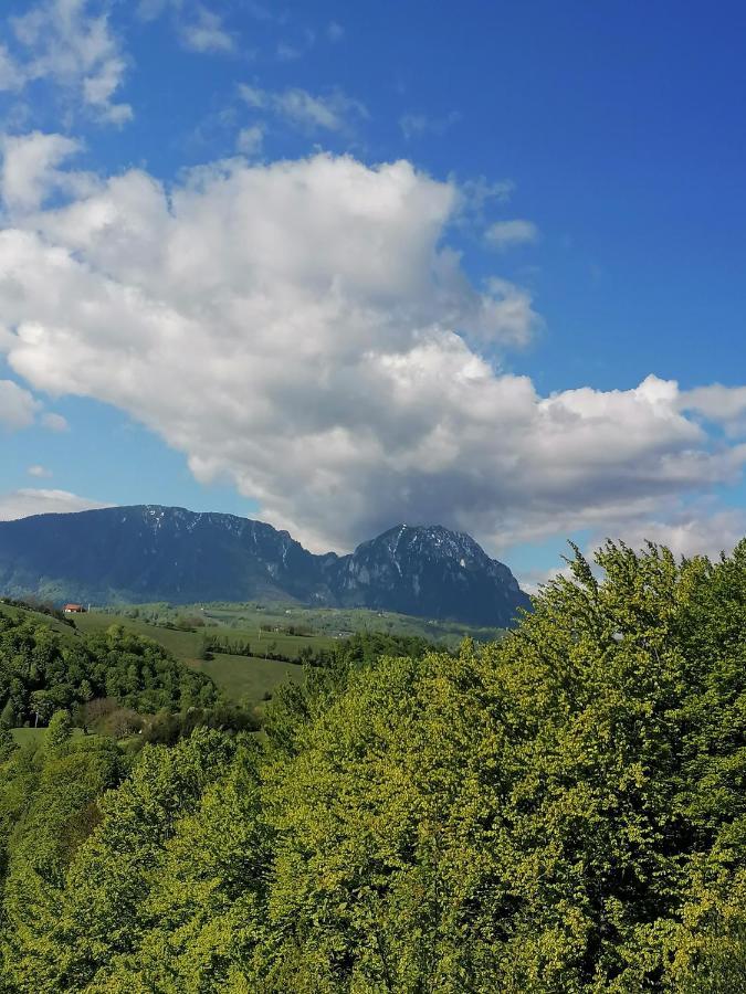 Conacul Elenei Villa Poiana Mărului Exterior foto