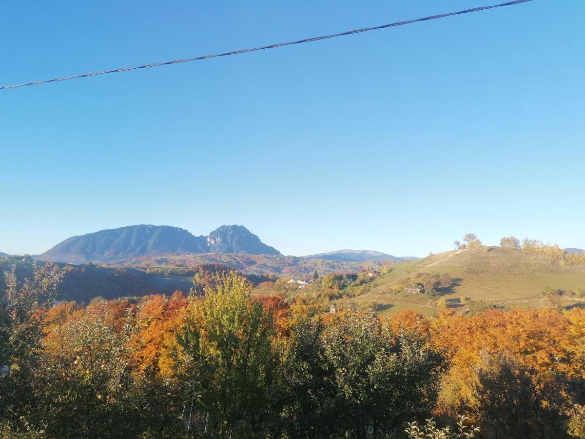 Conacul Elenei Villa Poiana Mărului Exterior foto