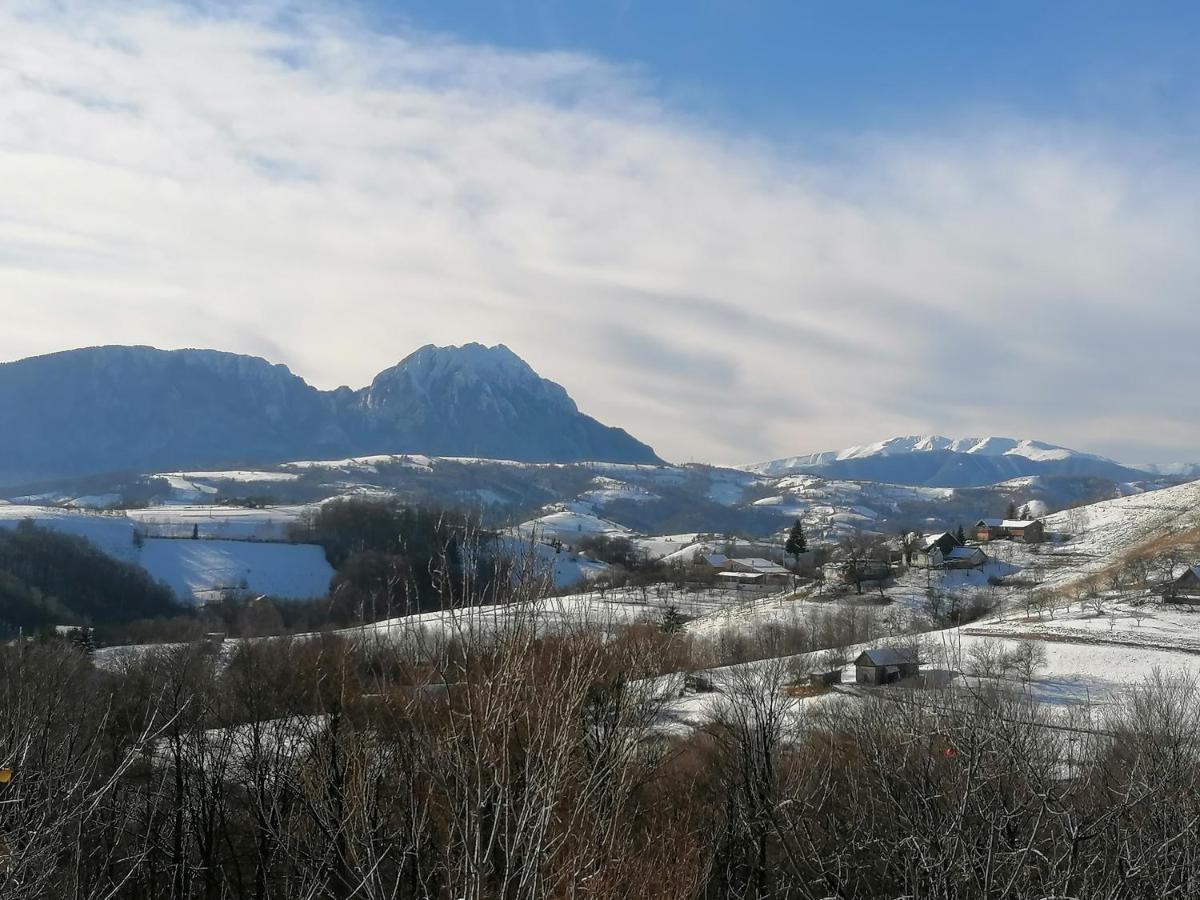 Conacul Elenei Villa Poiana Mărului Exterior foto