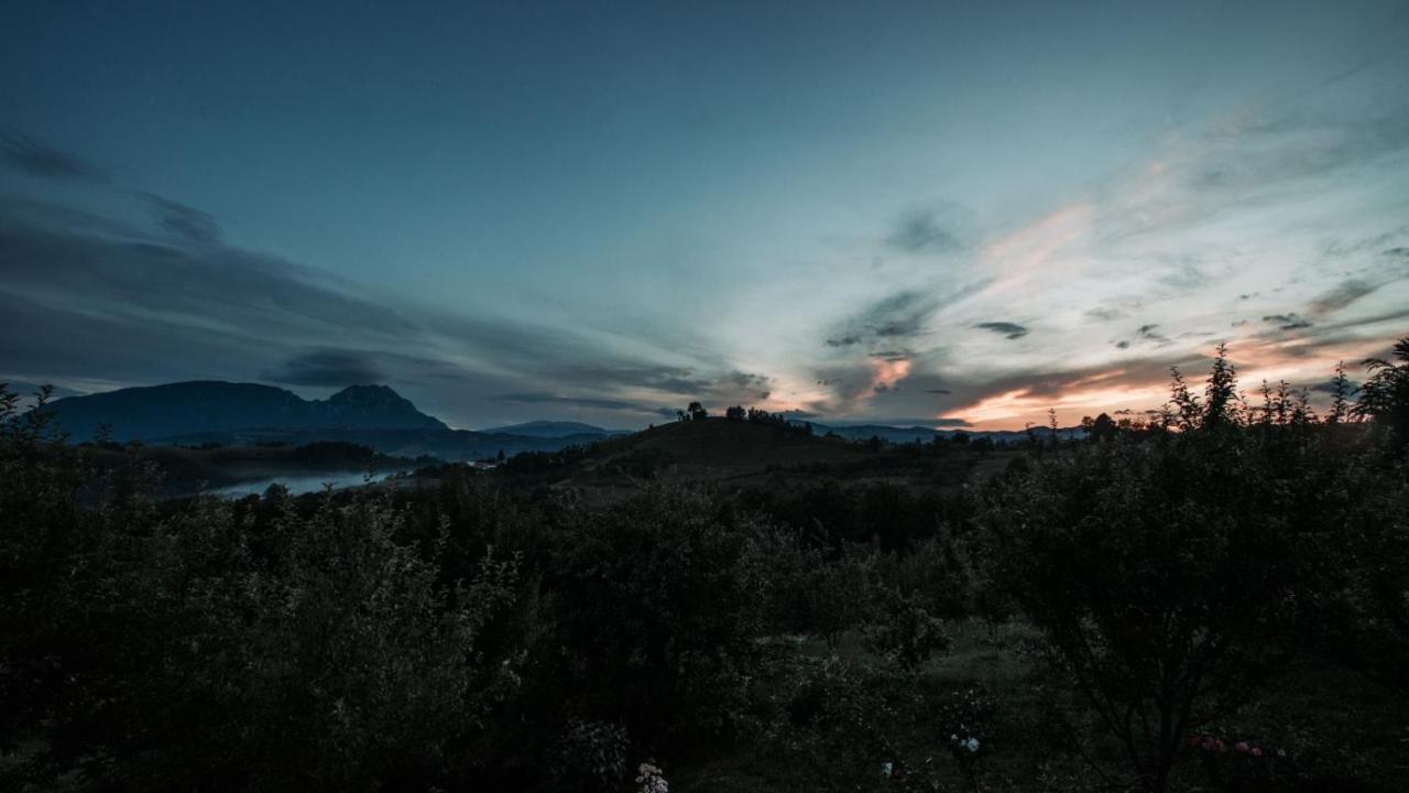 Conacul Elenei Villa Poiana Mărului Exterior foto