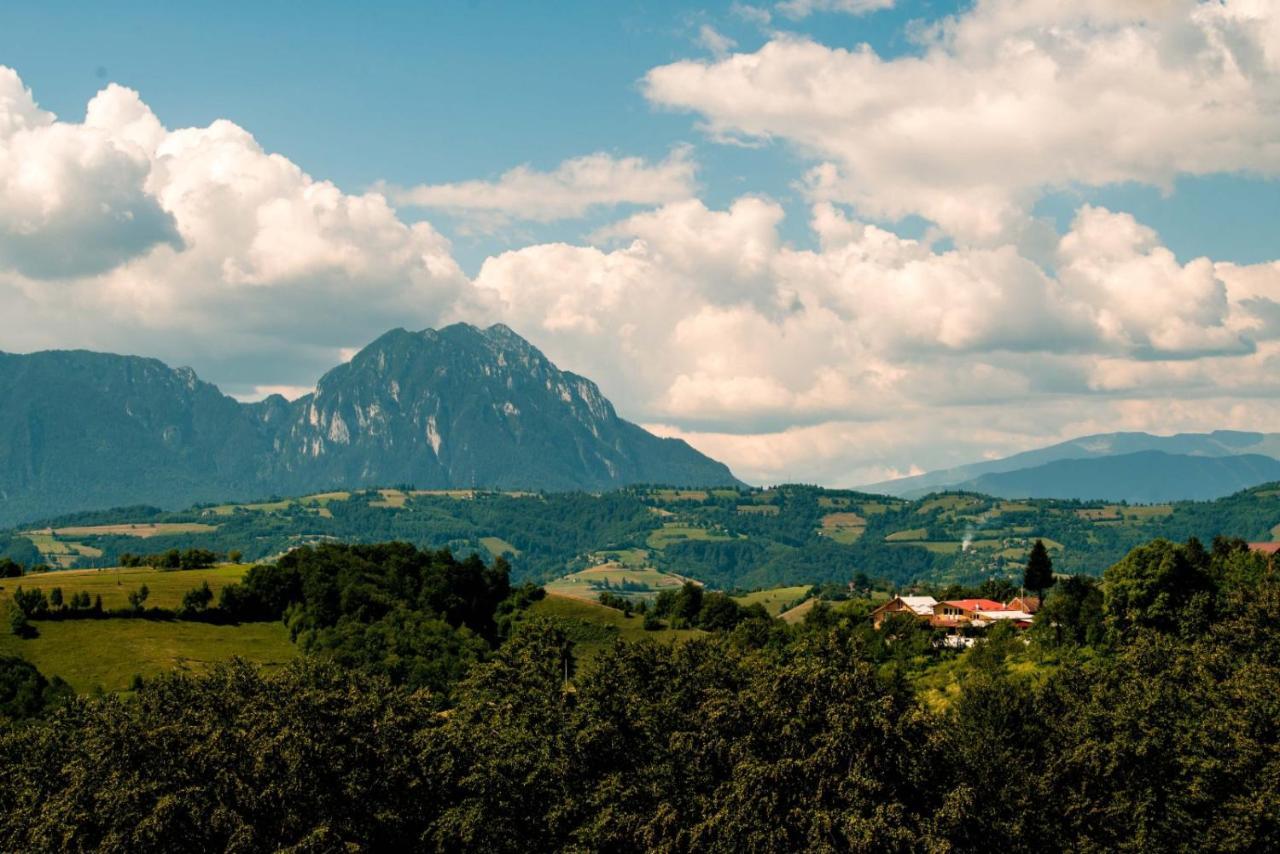 Conacul Elenei Villa Poiana Mărului Exterior foto