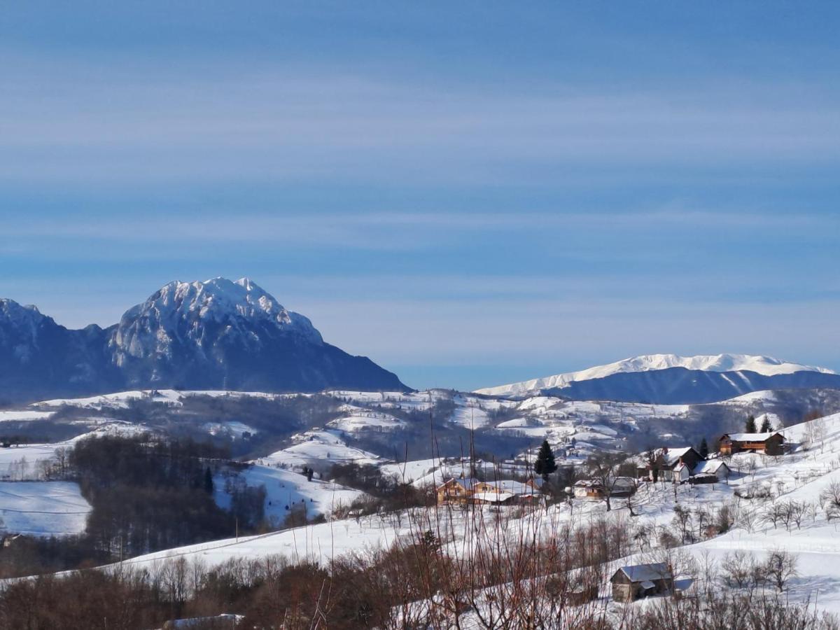 Conacul Elenei Villa Poiana Mărului Exterior foto