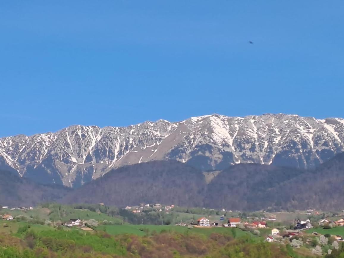 Conacul Elenei Villa Poiana Mărului Exterior foto