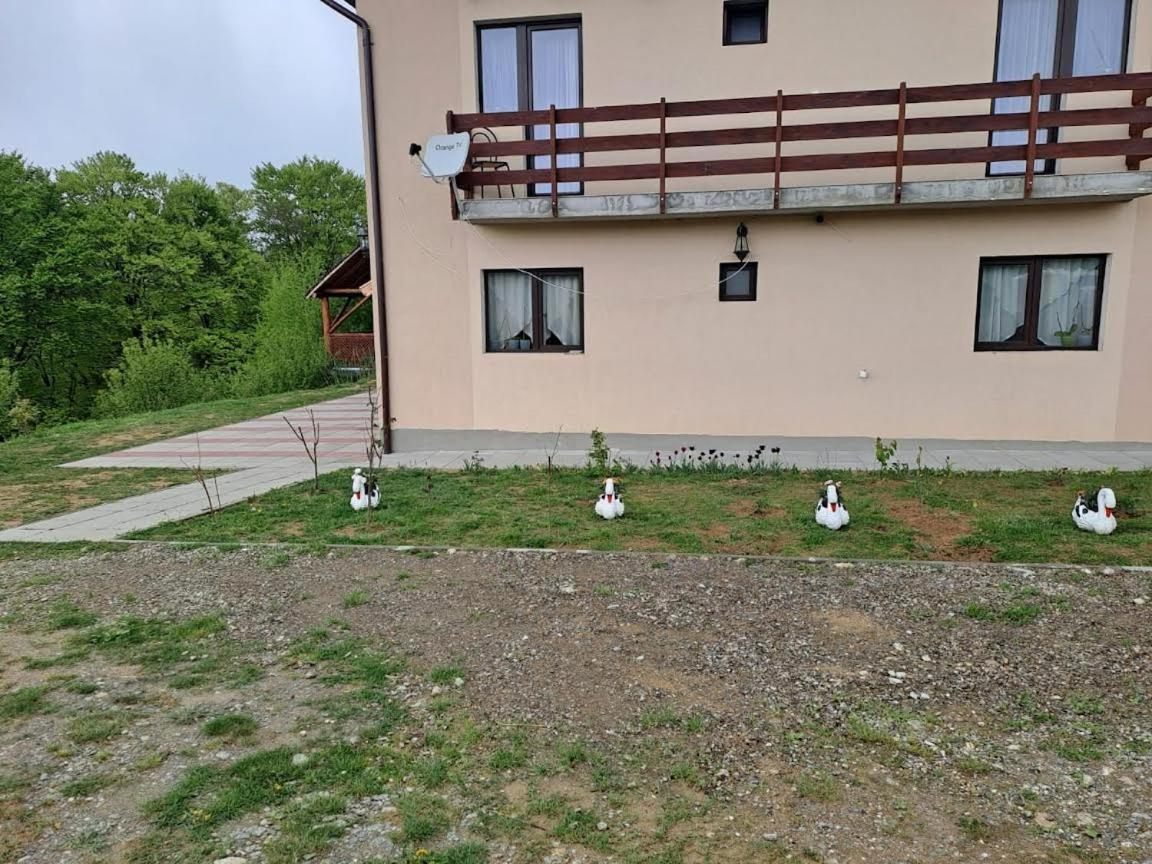 Conacul Elenei Villa Poiana Mărului Exterior foto